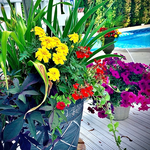 Meet the Posher Tina - Picture 3 of 7